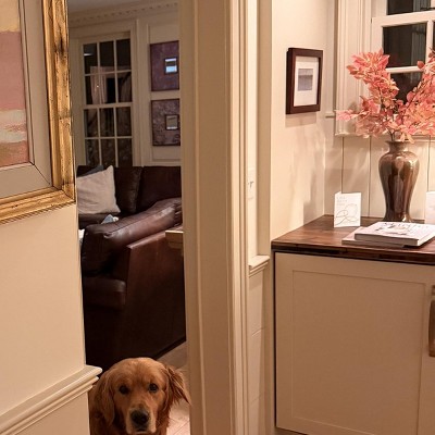 Guest review image 1 of 1, zoom in