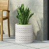 Okak Dots Stylish Antique White Planter, Modern Durable Weather Resistant and Versatile Planter for Indoor/Outdoor - 2 of 4