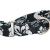 Country Brook Petz Martingale with Premium Buckle - Summer Breeze Collection - 4 of 4