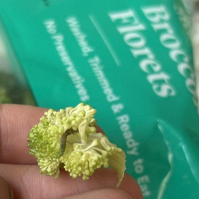 Guest review image 1 of 1, zoom in