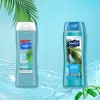 Suave Essentials Ocean Breeze Refreshing Body Wash Soap for All Skin Types - 18 fl oz - image 4 of 4
