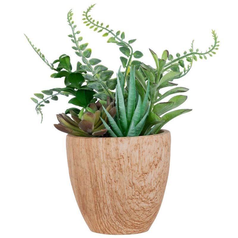 Northlight 12" Mixed Succulents and Fern Artificial Potted Arrangement - Green/Brown, 1 of 7