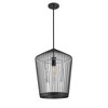 Z-Lite Lido 1 - Light Pendant in  Matte Black - 2 of 4