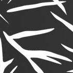 black leaf-2