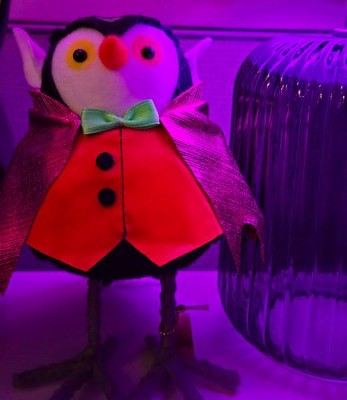 Guest review image 1 of 1, zoom in