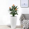 ORRD Set of 2 White Faux Rattan Planters​ 22" Tall, Auto-Watering, Indoor/Outdoor Use - 4 of 4