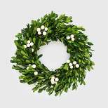 10.5" Preserved Boxwood Wreath - Sugar Paper™ + Target