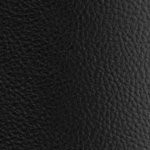 stone cold steve austin