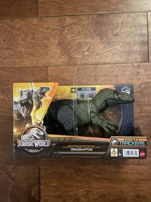 Jurassic World Dino Trackers Wild Roar Orkoraptor Action Figure : Target