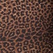 Brown Leopard