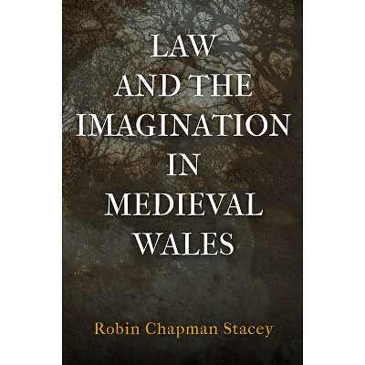 Law and the Imagination in Medieval Wales - (Middle Ages) by  Robin Chapman Stacey (Hardcover)