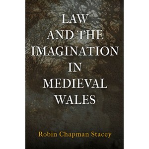Law and the Imagination in Medieval Wales - (Middle Ages) by  Robin Chapman Stacey (Hardcover) - 1 of 1