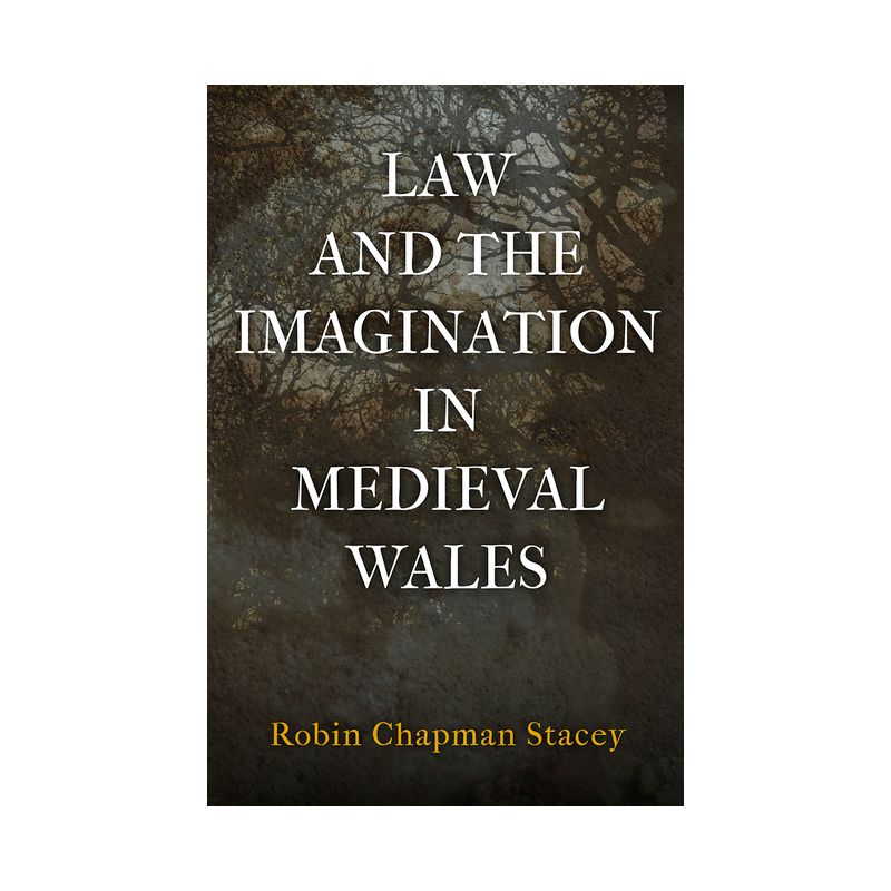 Law and the Imagination in Medieval Wales - (Middle Ages) by  Robin Chapman Stacey (Hardcover), 1 of 2