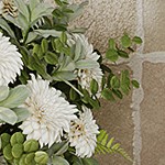 white wood color
