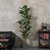 Tree City 6 Ft Artificial Rubber Tree – Realistic Faux Ficus Plant in Pot – Large Tropical Floor Tree - 3 of 3