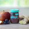 Beech-Nut Naturals Apple Blueberry Ginger Baby Meals Jar - 4oz - 4 of 4