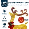 Joyfy 2 Packs Gold Reindeer and Sleigh Christmas Yard Light Decoration with 200 LEDs for Xmas Yard Garden Outdoor Decoration, Xmas Eve Night Décor - 2 of 4