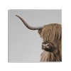 Kate & Laurel All Things Decor 23"x23" Highland Cow Portrait Close Crop by The Creative Bunch Studio Floating Acrylic Art - 2 of 4