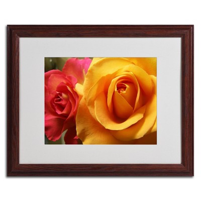 Trademark Fine Art -Monica Fleet 'Ideal Balance' Matted Framed Art
