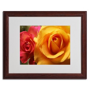 Trademark Fine Art -Monica Fleet 'Ideal Balance' Matted Framed Art - 1 of 4