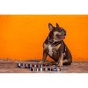 Wolfgang Multicolored Lost Art Polyester Dog Collar Small - 3 of 3