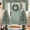 4-Piece Artificial Christmas Set, Garland, Wreath and Set of 2 Entrance Pre-lit Xmas Tree with LED Lights-ModernLuxe - 3 of 4