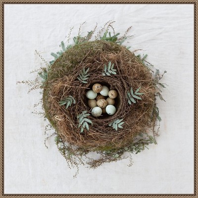 Amanti Art Winter Nest by Tania Soderman Framed Canvas Wall Art