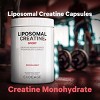 Codeage Liposomal Creatine Monohydrate Supplement, Micronized Creatine 3000 mg - 360ct - 4 of 4