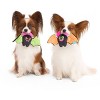 BARK Afraid of the Bark Halloween Screech and Squeak Animal Plush Dog Toy - 3 of 4