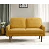 56" Velvet European Style 2-Seater Loveseat Sofa for Living Room, Apartment or Office with Sleek Design, Modern Vintage Flair - 2 of 4