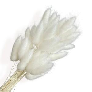 Alilang Dried Bunny Tail Grass Stems for Modern Home Decoration and Floral Arrangements, 23.5 Inches - 1 of 3