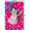 Trends International Keith Kimberlin - Kitten - Shoe Unframed Wall Poster Prints - 3 of 4