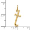 Black Bow Jewelry 14k Yellow Gold, Claire Collection Mini Lower Case Initial T Charm - 4 of 4
