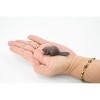 Collectible Wildlife Gifts | Beaver, Castor, Rubber Animal, Hand Painted, Realistic Toy Figure, Model, Gift,      2 1/2"      CH208 BB118 - 3 of 4