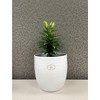 Tierra Garden 6.3" Ceramic Bergamo Indoor Pot - 3 of 3