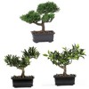 Nearly Natural 8.5-in Bonsai Silk Plant Collection (Set of 3) - 2 of 2
