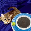 Nerf Cat 15" ABS Cyclone Track Ring Scratcher and LED Ball Cat Toy - 4 of 4