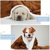 Kritter Planet Puppy Blanket, Super Soft High Pile Dog Blankets and Throws Cat Fleece Sleeping Mat for Pet Small Animals 45x30 - 4 of 4