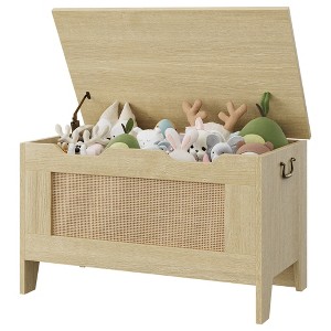 Storage Chest, Storage Bench with Safety Hinge, Flip Top Wood Blanket Storage Trunks Chest for Entryway, Living Room - 1 of 4