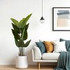 ACEPANO 63 in. H 2-Piece Artificial Tropical Palm Tree Plant for Indoor/Outdoor Home and Office Decor-Green - 2 of 4