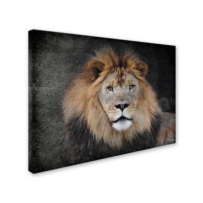 Trademark Fine Art -Jai Johnson 'Male Lion Portrait 1' Canvas Art