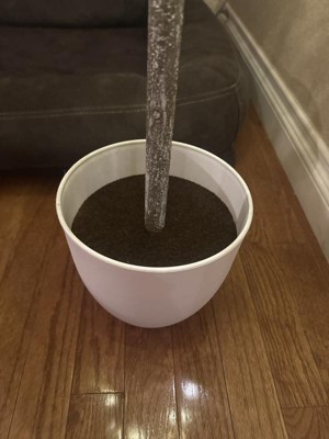 Guest review image 2 of 3, zoom in