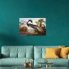 Louisiana Heron From "Birds of America" by John James Audubon Unframed Wall Canvas - iCanvas - 3 of 4