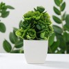 Unique Bargains Artificial Plants Fuzzy Bloom Plant Plastic Green 6.3"x6.3"x6.3" 1 Pc - 2 of 4