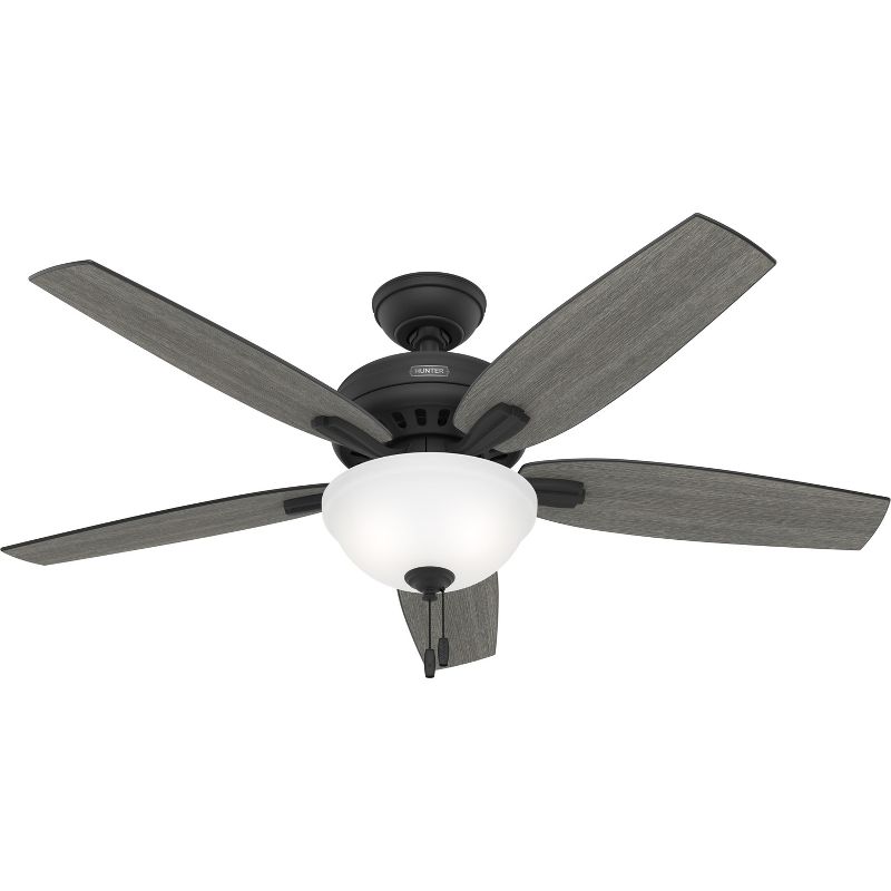52" Newsome Glossy Ceiling Fan (Includes LED Light Bulb) - Hunter Fan, 1 of 19