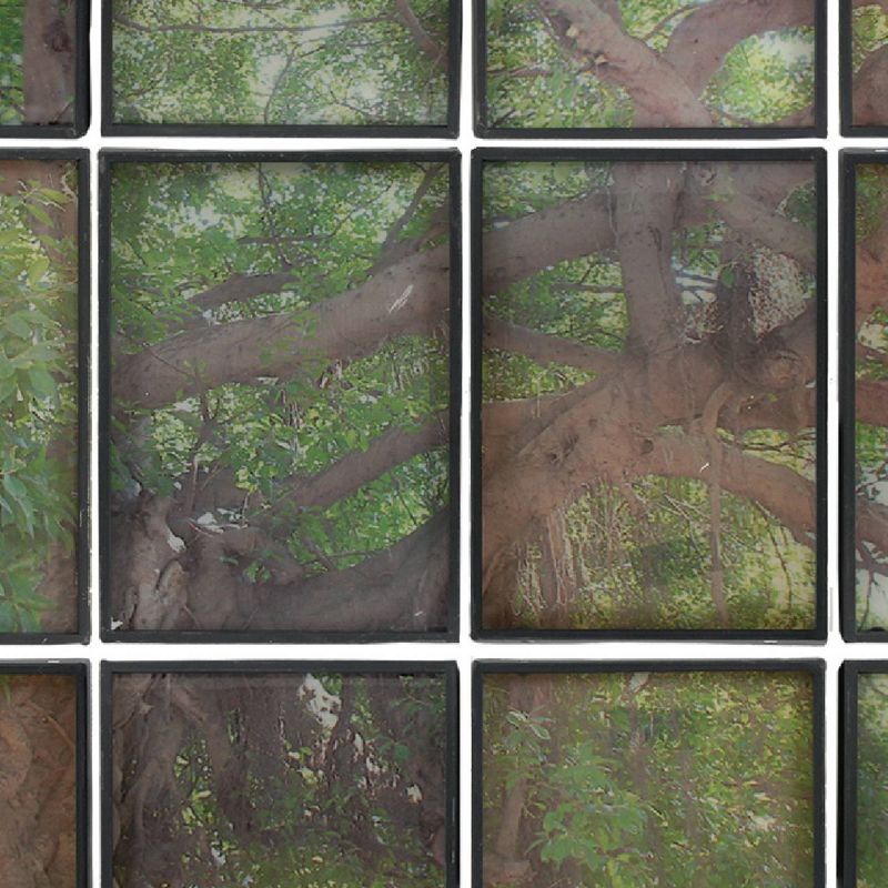 12&#34;x8&#34; Set of 12 Tree Branch Framed Collage Wall Arts Green/Brown - A&#38;B Home, 4 of 5