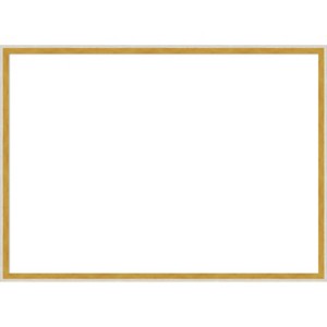 Amanti Art Paige White Gold Framed Dry Erase Magnetic Board - 1 of 4
