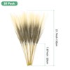 Unique Bargains Dried Plants Artificial Durable Small Fluffy Pampas Grass for Home, Office, Party 20 Pcs 21.7 Inch - 3 of 4