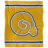 Albany State University Primary Logo Stripes Silky 50x60 Blanket, 1 Sided - 2 of 4