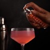 True Martini Atomizer Perfect for Vermouth or Bitters, Travel Spray Bottle, Travel Fragrance, DIY, Refillable Bar Sprayer, Stainless Steel, 30 ml. - 4 of 4